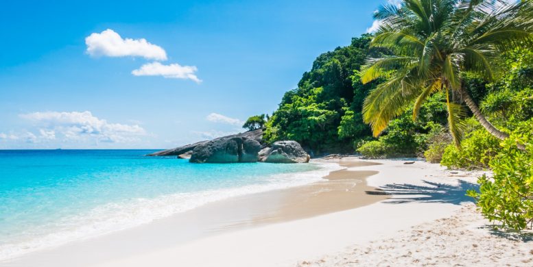 Les plages de rêve des Caraïbes : où trouver le paradis ?
